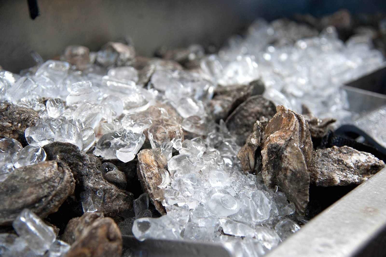 Oyster Festival, Saturday and Sunday at Riverfront